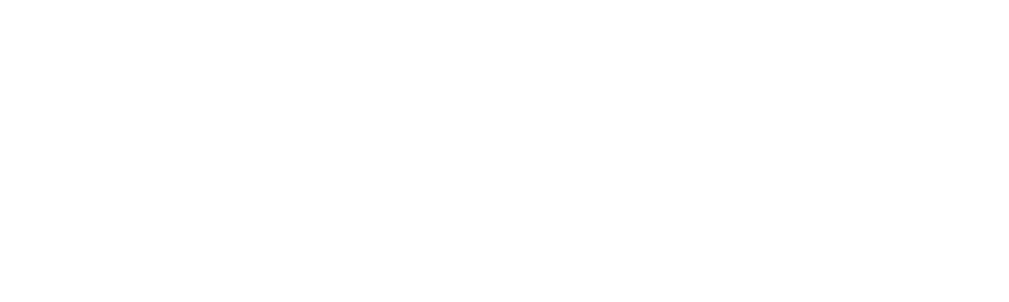 Hodari · private luxury safaris in northern Tanzania
