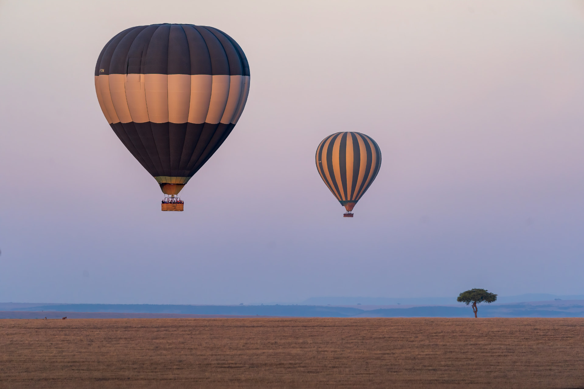 Hot air balloon drifting low over the Serengeti plains at sunrise