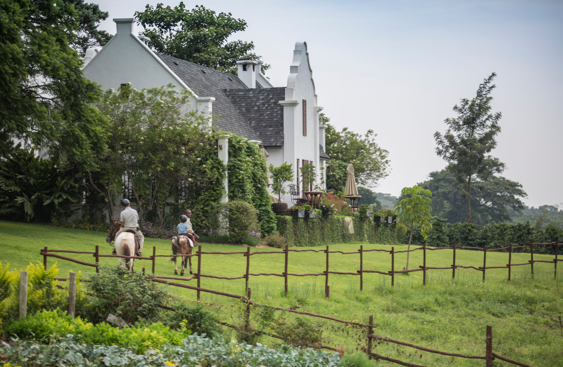 Guests horse riding across the lawns of The Manor at Ngorongoro, with the whitewashed Cape Dutch house, gardens and coffee estate behind